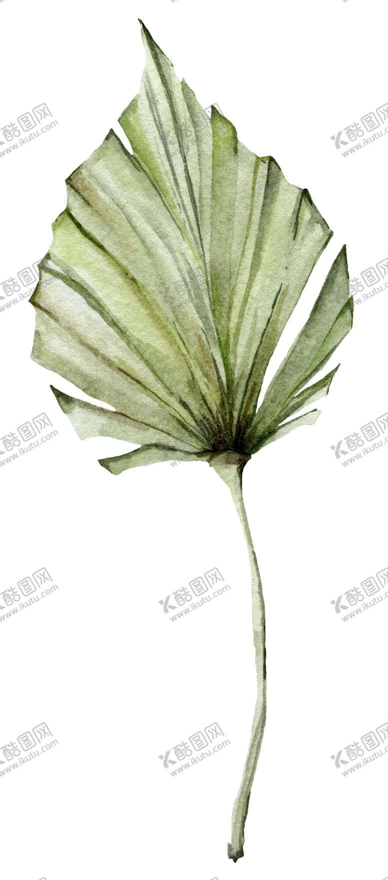 编号：52344206262111131671【酷图网】源文件下载-植物花朵装饰图案