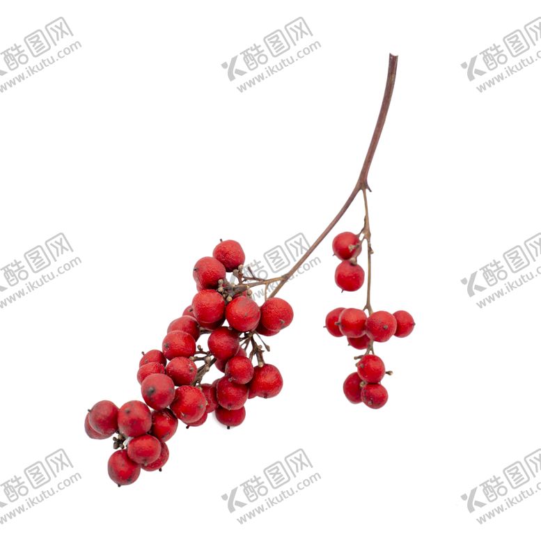 编号：55321706252349341288【酷图网】源文件下载-免抠背景干花枯花
