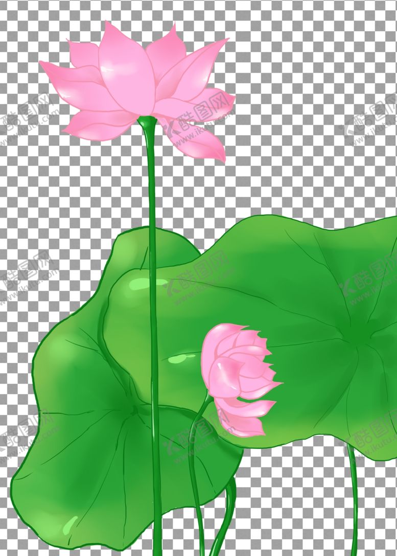 编号：98762309290230423563【酷图网】源文件下载-透明底荷花