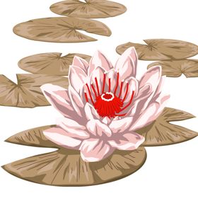 荷花素材古风夏天背景夏至背景插画