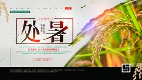 处暑雨水大雪白露立冬