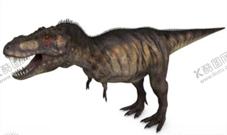 编号：20451509221431429987【酷图网】源文件下载-C4D模型恐龙