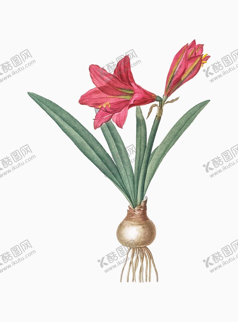 编号：76747209172008379510【酷图网】源文件下载-花纹