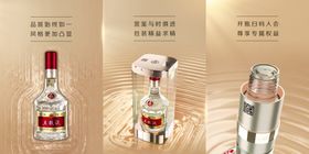 五粮液八代酒海报