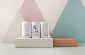 常用样机公司胸卡平板电脑信封VI