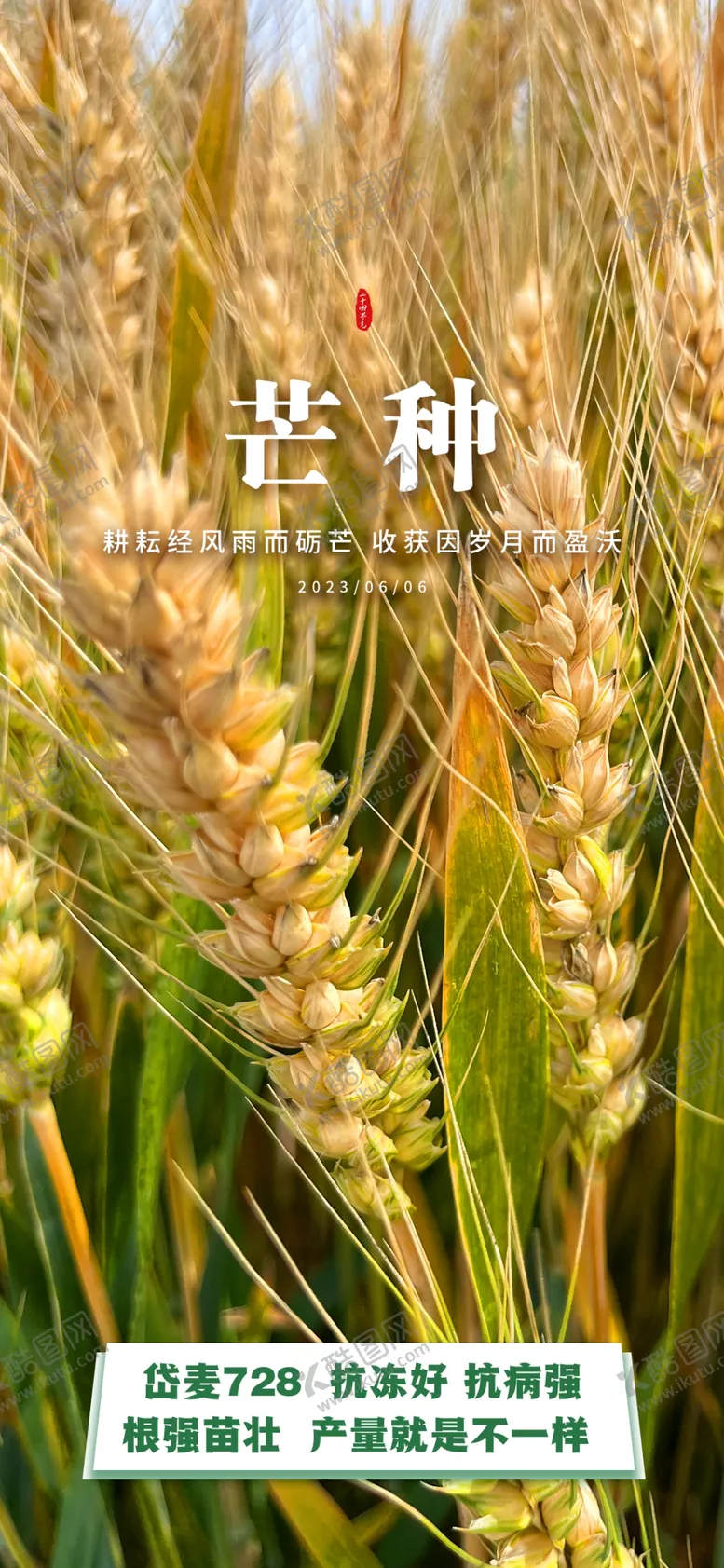 编号：61966601191614325565【酷图网】源文件下载-芒种