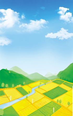 麦田
