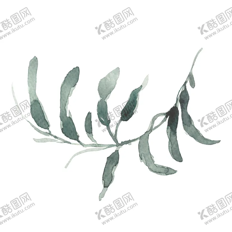 编号：50166807031314325859【酷图网】源文件下载-小清新水彩植物树枝