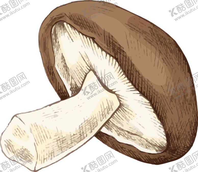 编号：95080902081946234613【酷图网】源文件下载-菌类植物