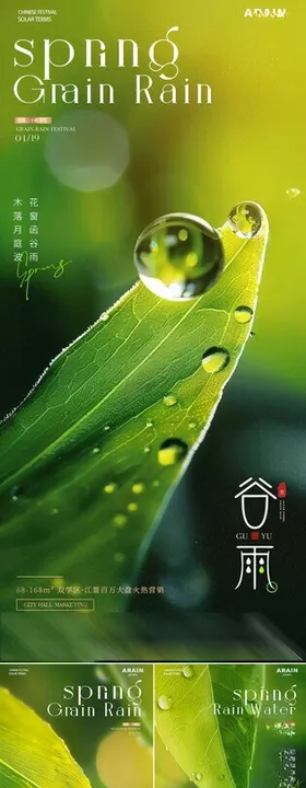 谷雨雨水树叶水滴海报