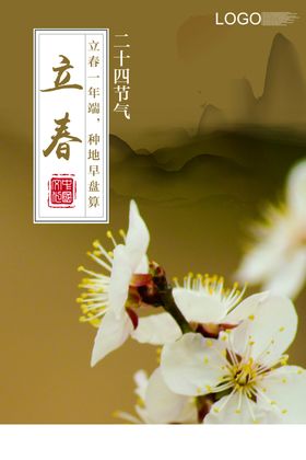 淡雅立春海报