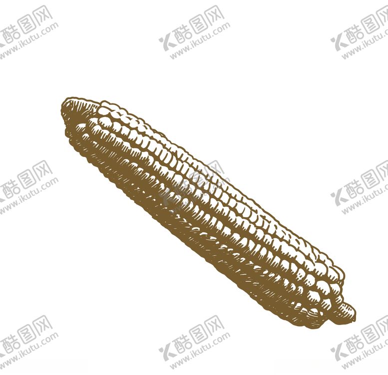 编号：74099910042115439851【酷图网】源文件下载-蔬菜