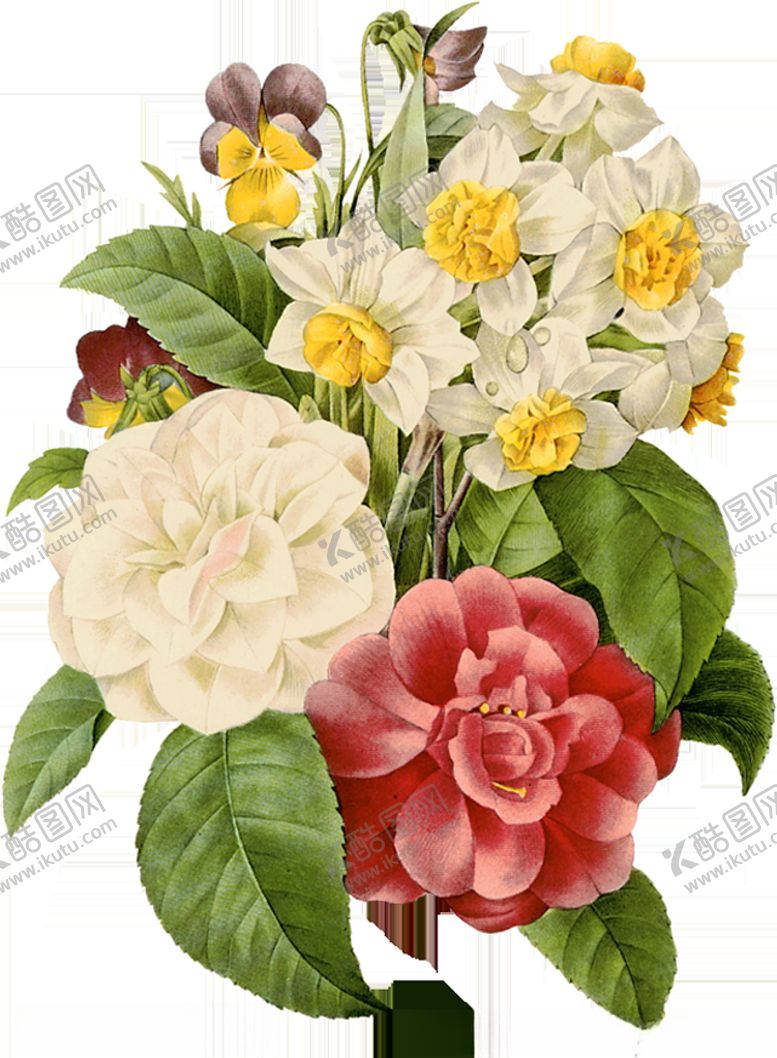 编号：80689309090434571255【酷图网】源文件下载-手绘插画植物花朵