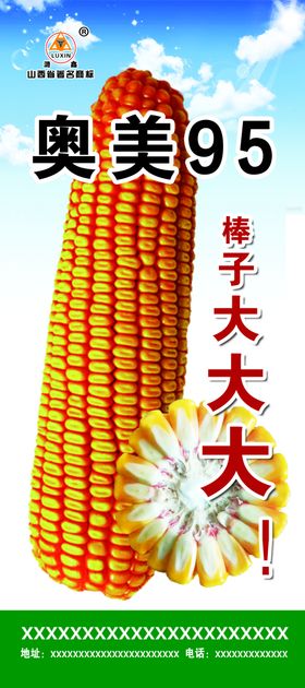 玉米展架