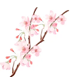 梅花桃花PNG