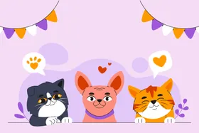 猫咪背景壁纸宠物可爱小