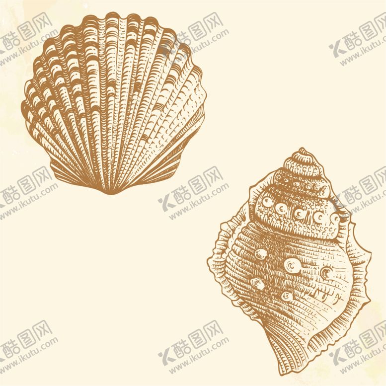编号：42508710011350099287【酷图网】源文件下载-海螺和贝壳矢量素材