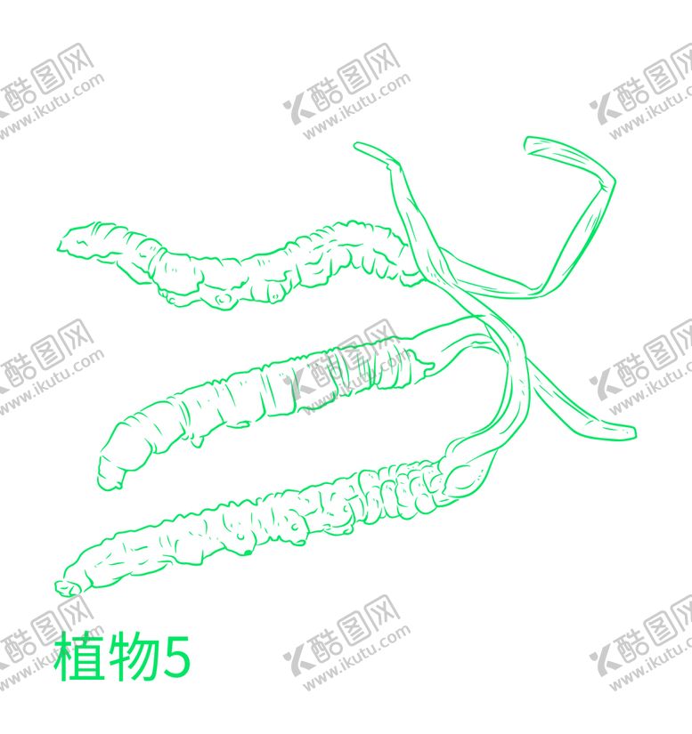 编号：75210809291325522475【酷图网】源文件下载-植物 草本 矢量图 中药