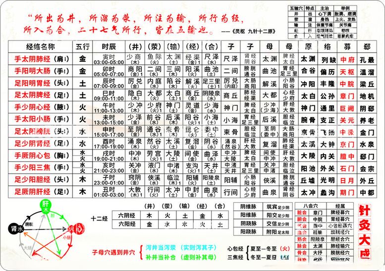 编号：75528002221749405404【酷图网】源文件下载-针灸十二经络五行