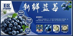 新鲜蓝莓宣传海报展示