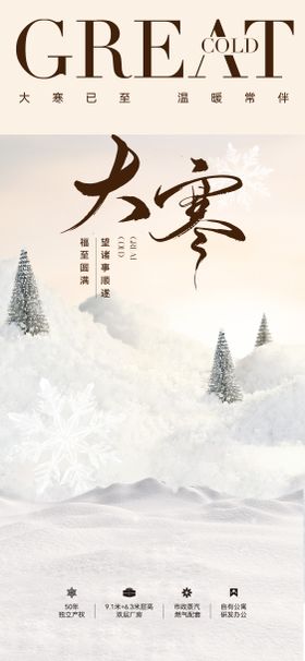地产大寒节日节气刷屏海报