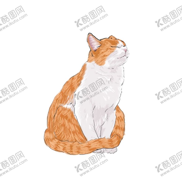 编号：54237305051246038497【酷图网】源文件下载-卡通猫