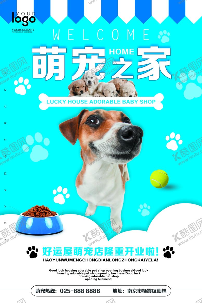 编号：35173507050603135252【酷图网】源文件下载-宠物海报