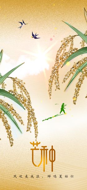 芒种海报素材节气
