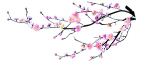 梅花