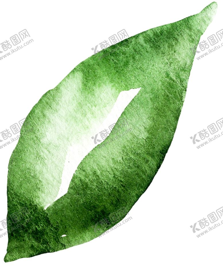 编号：69707410200215218625【酷图网】源文件下载-树叶