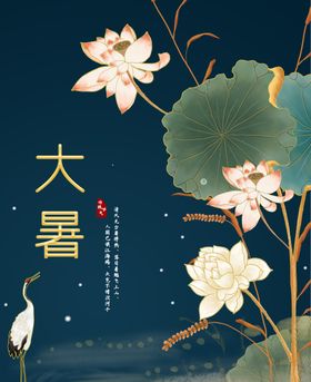 大暑海报