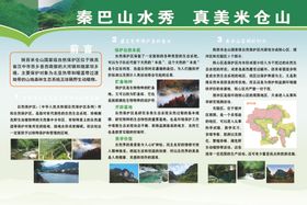 绿色展板
