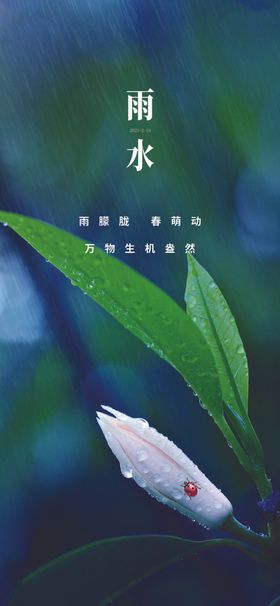 雨水