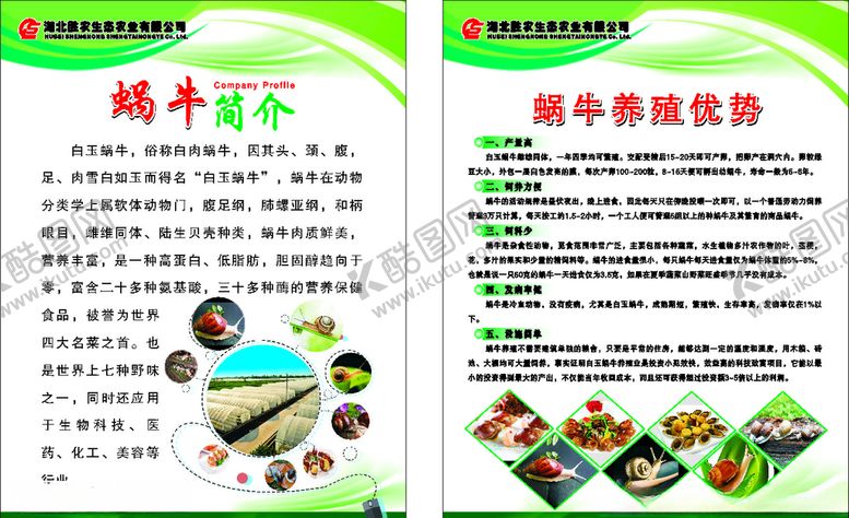 编号：82860210270114026184【酷图网】源文件下载-蜗牛海报