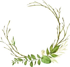 叶子背景手绘植物