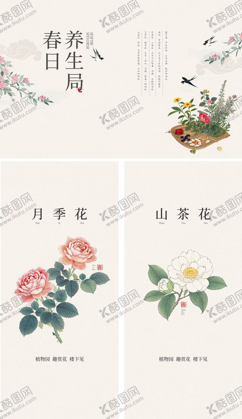 编号：41240806151819146369【酷图网】源文件下载-养生海报