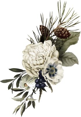 装饰花png