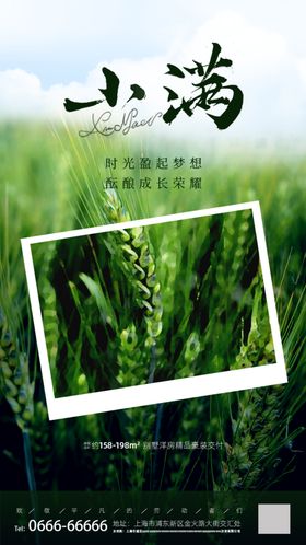 小满金属麦子24节气海报二十四节气