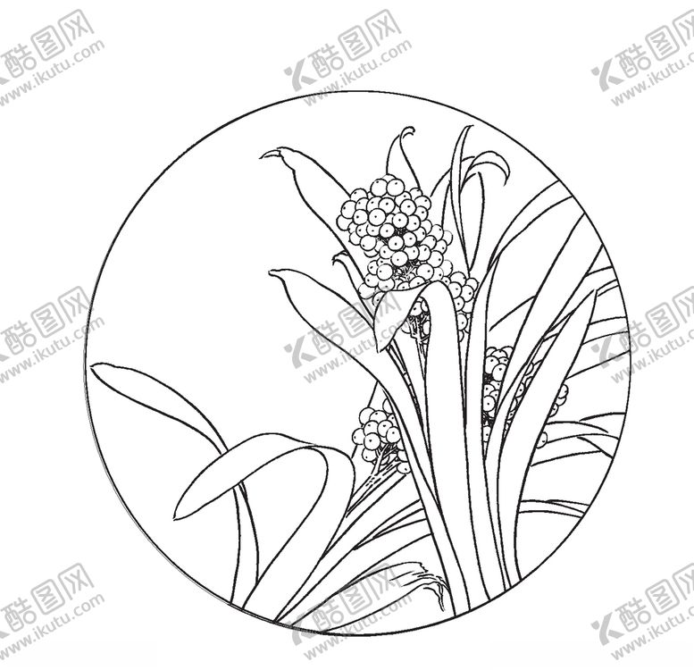 编号：41880210310802416463【酷图网】源文件下载-万年青