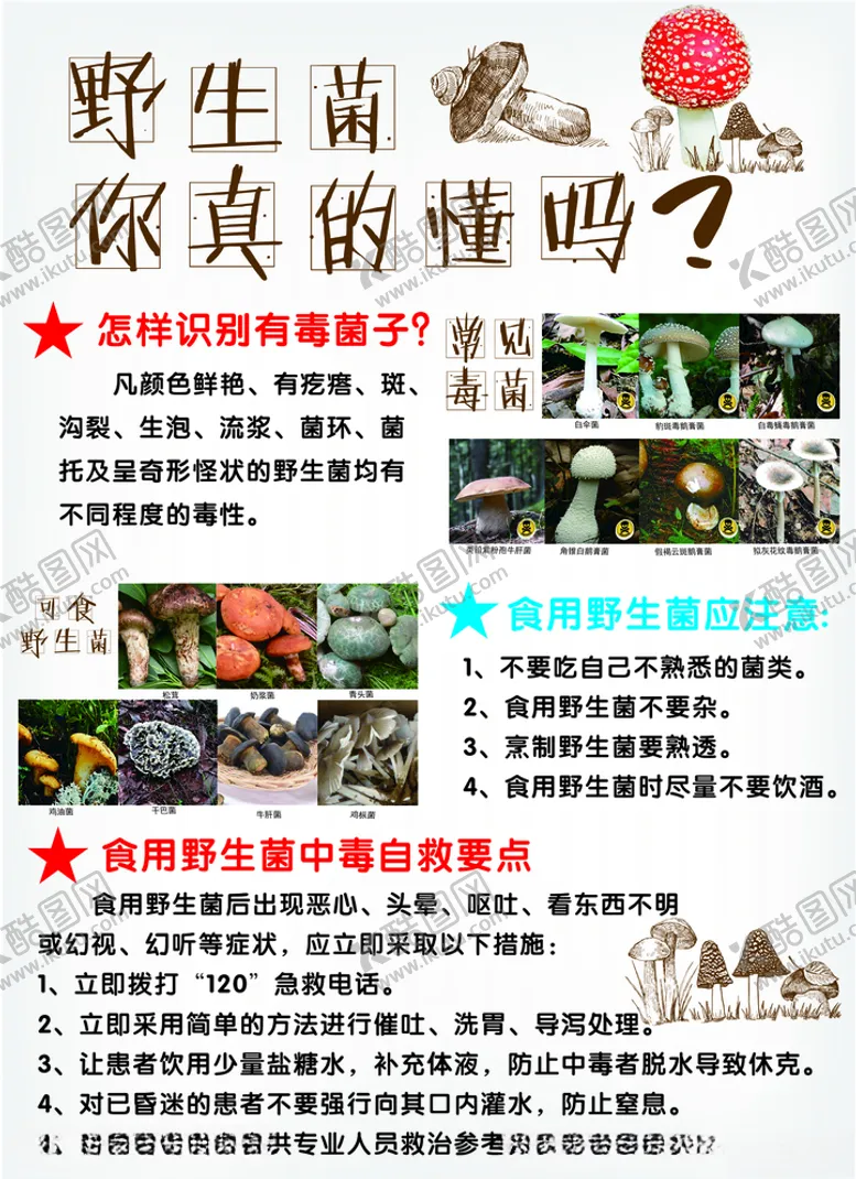 编号：75676107011157529225【酷图网】源文件下载-野生菌海报