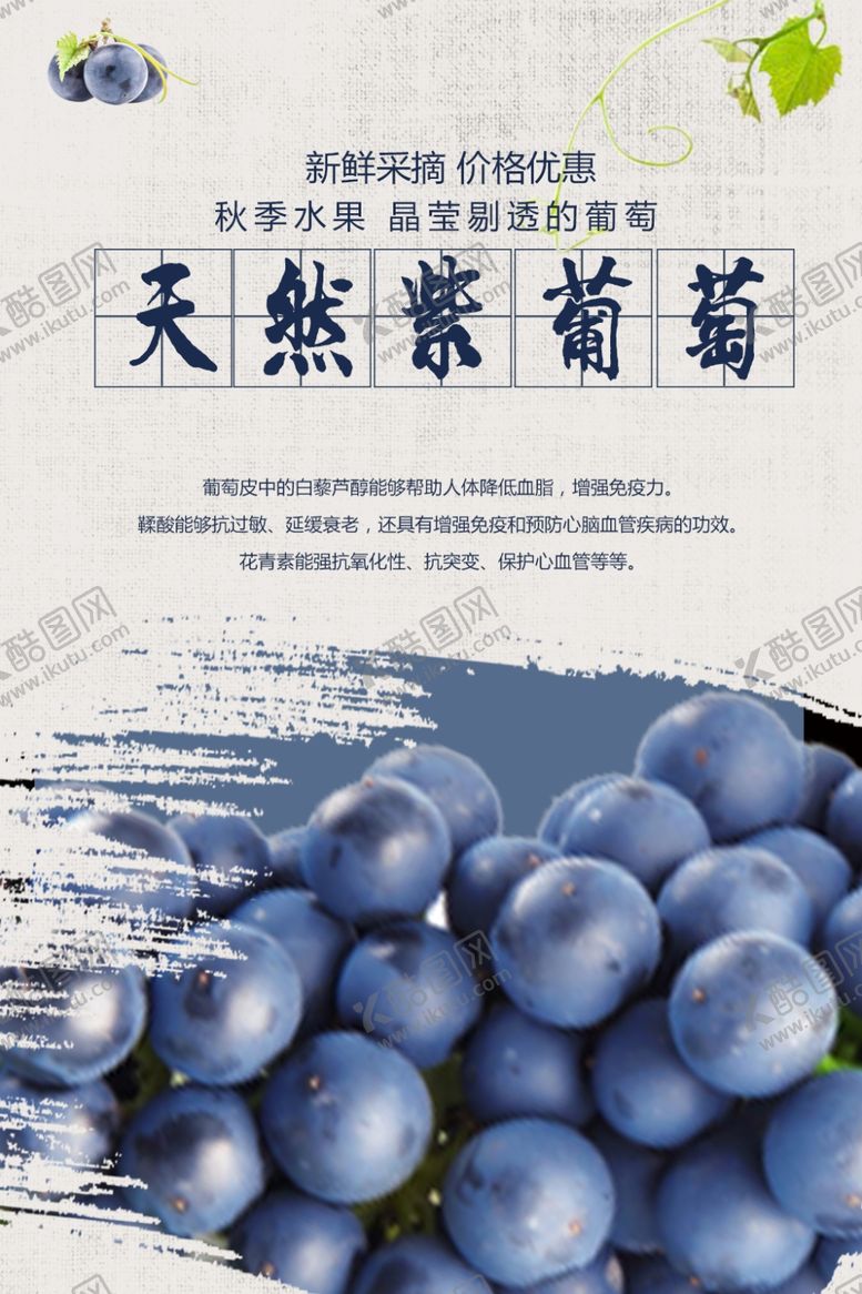编号：96733405150926212356【酷图网】源文件下载-葡萄