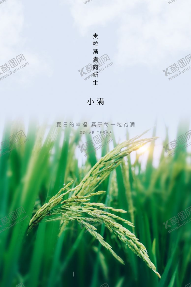 编号：58102209141158587784【酷图网】源文件下载-小满