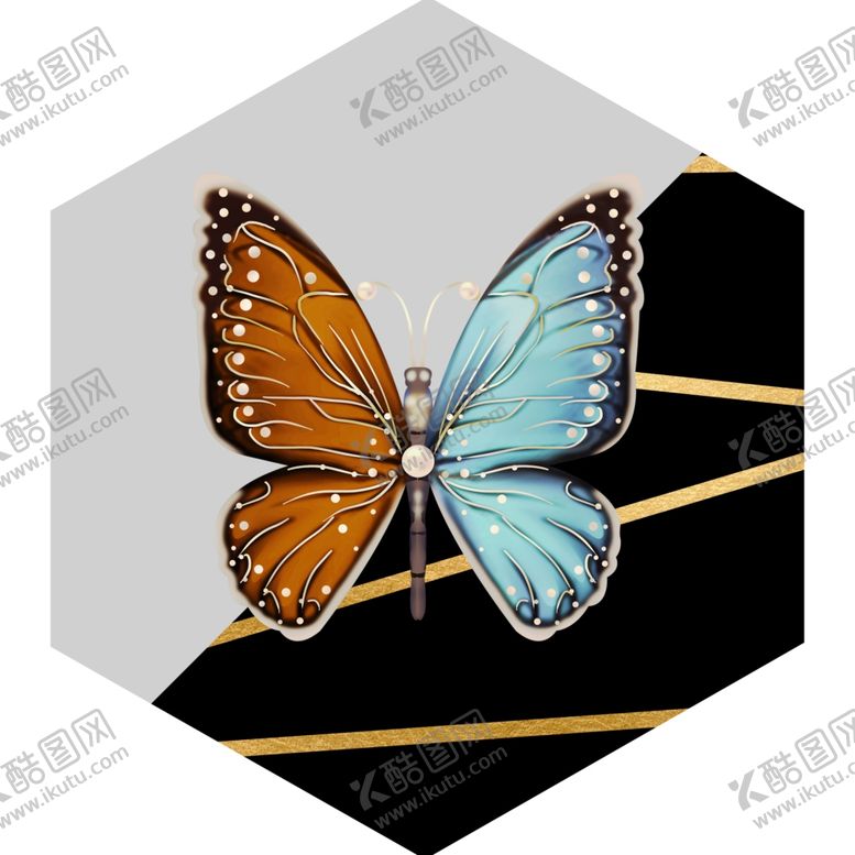 编号：80866903280154463560【酷图网】源文件下载-蝴蝶装饰画