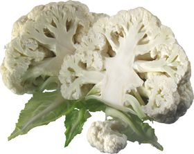 菜花