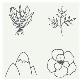 手绘植物