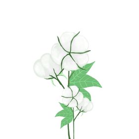 插画树叶装饰竹叶元素