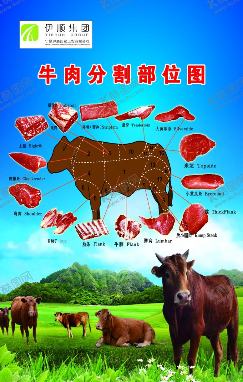 编号：53244806261952209749【酷图网】源文件下载-牛肉分割部位图