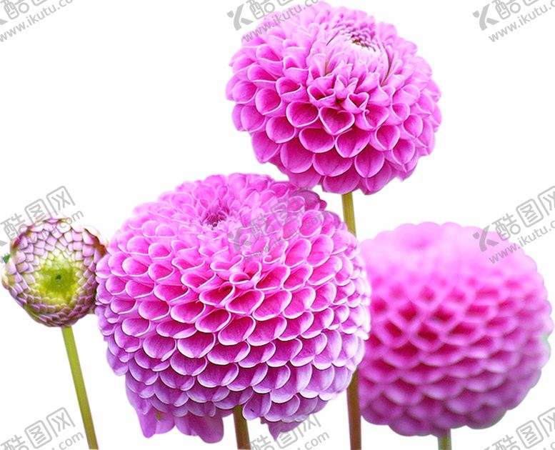 编号：86257309150357321035【酷图网】源文件下载-背景图片