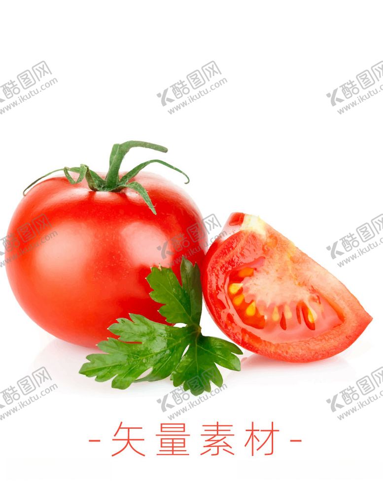 编号：30867309160100363928【酷图网】源文件下载-番茄西红柿