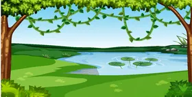 森林背景
